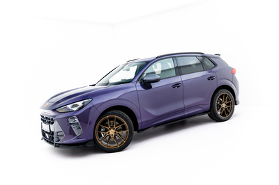 Rajouts Des Bas De Caisse Cupra Terramar Mk1