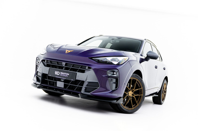 Lame Du Pare-Chocs Avant V.1 Cupra Terramar Mk1