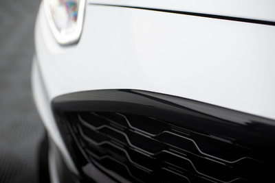 Avant Grill Ford Fiesta ST / ST-Line Mk8