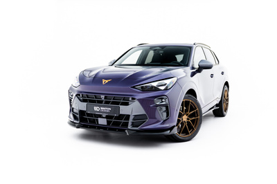 Lame Du Pare-Chocs Avant V.1 Cupra Terramar Mk1
