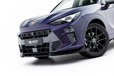 Ensemble Diffuseur V.1 Cupra Terramar Mk1