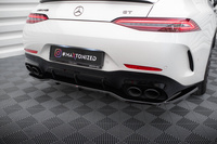 Arriere Splitter (avec une barre verticale) Mercedes-AMG GT 43 4 Door Coupe V8 Styling Package X290
