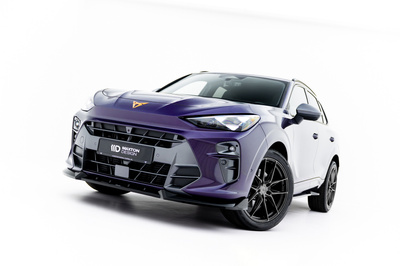 Ensemble Diffuseur V.1 Cupra Terramar Mk1