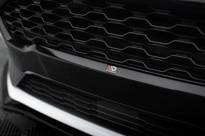 Avant Grill Ford Fiesta ST / ST-Line Mk8